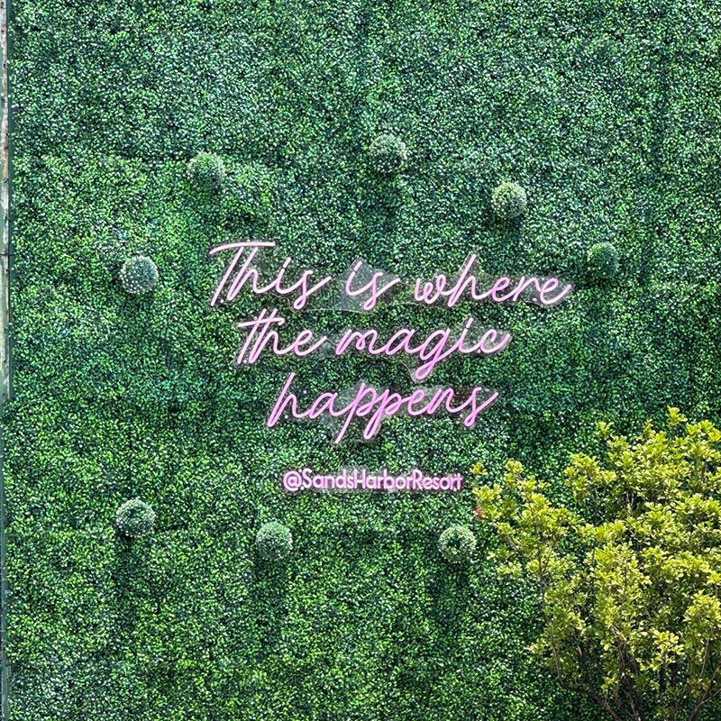 NewImage03